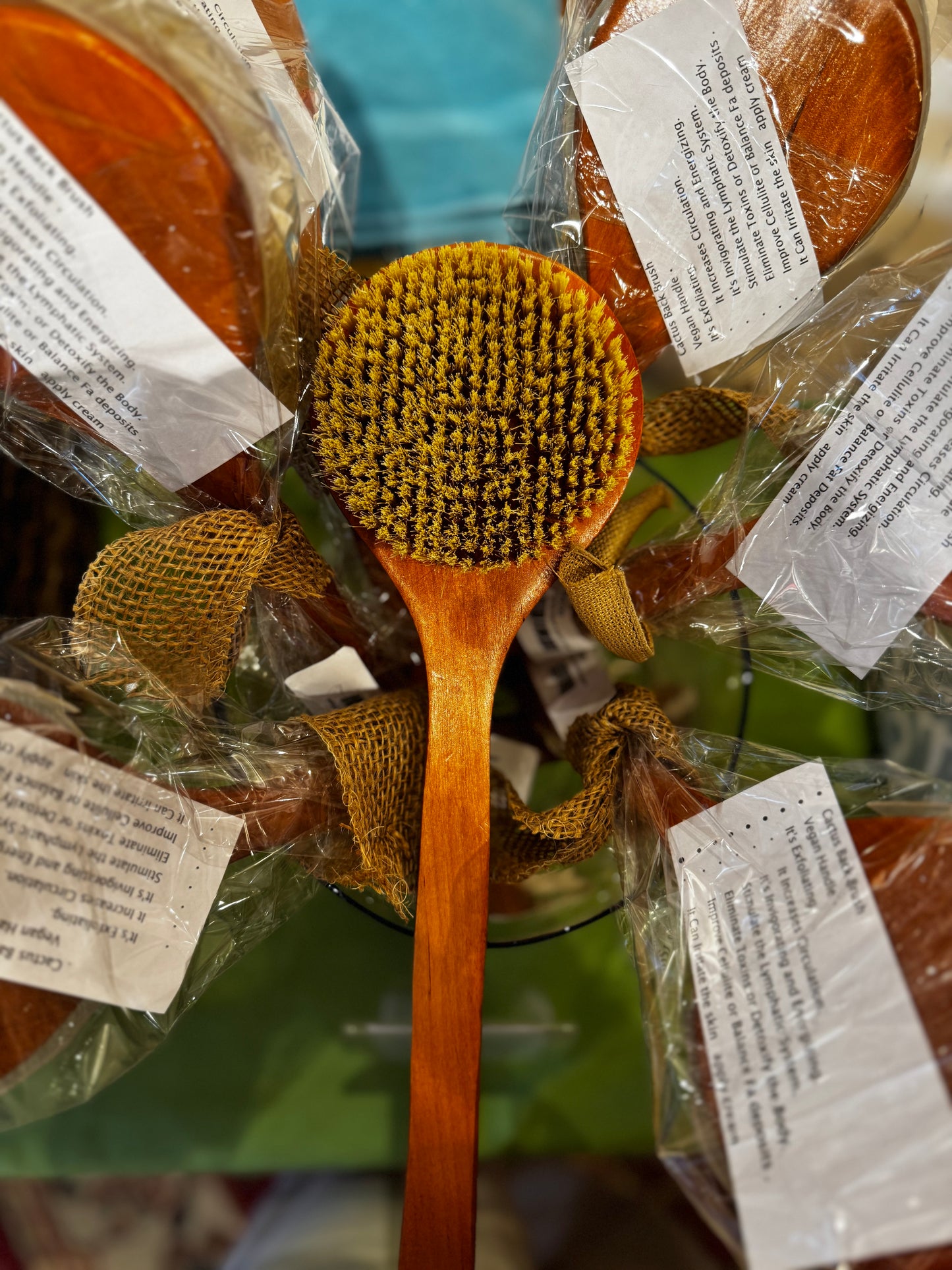 Cactus Back Brushing